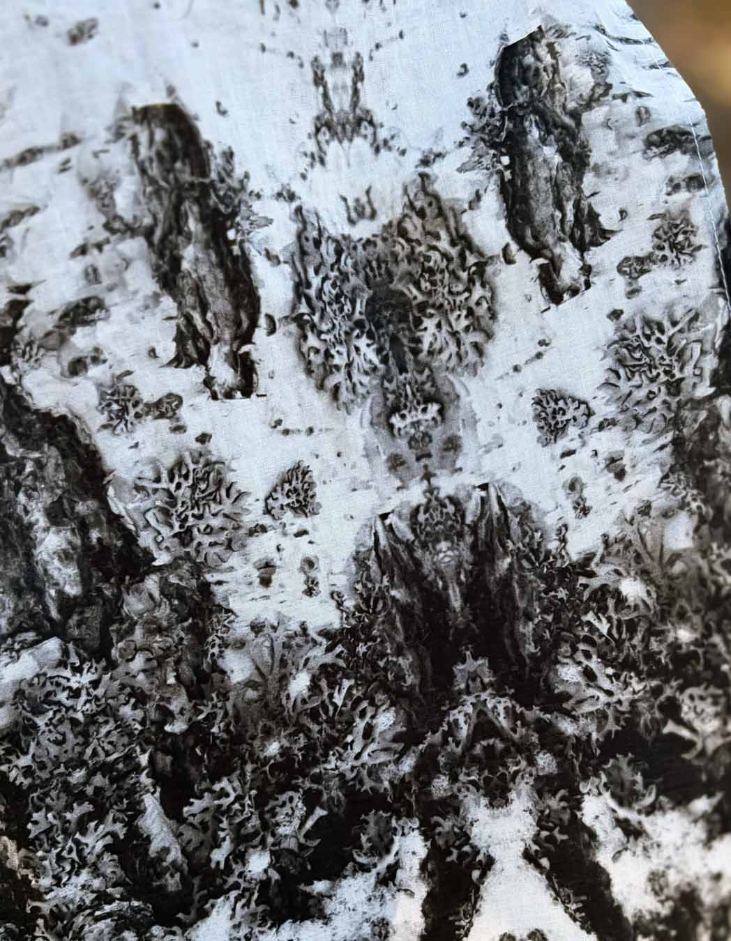 Huivi - Kaarnakamut